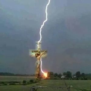 Meet your Posher, Joni